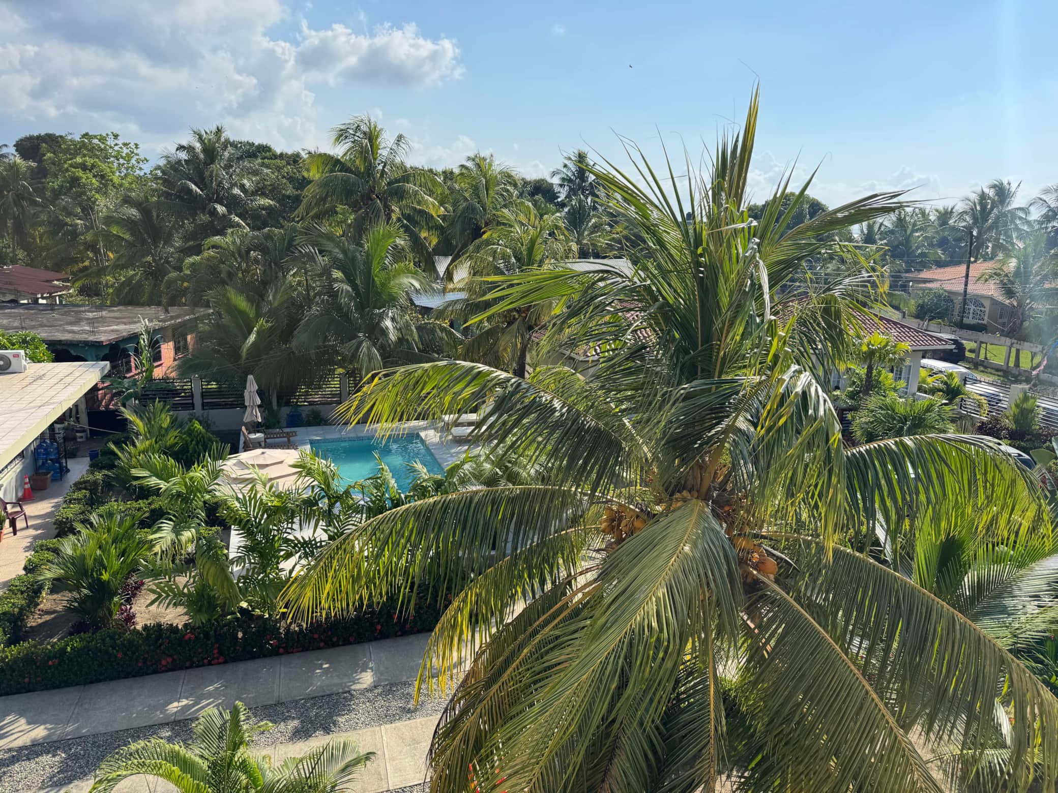 Palm-lined Caribbean beach at La Ensenada, Tela
