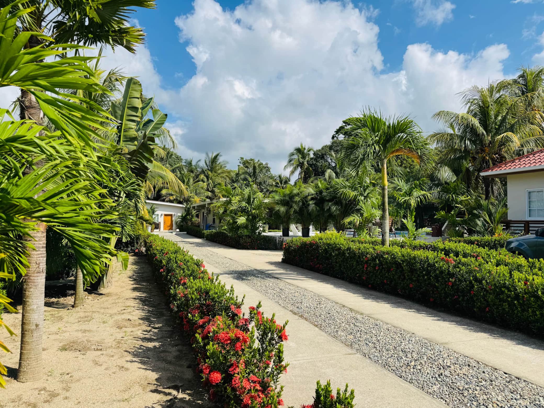 Gardens and pathways at the Jungla villa in La Ensenada